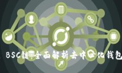 TPWallet BSC链：全面解析去中心化钱包及其优势