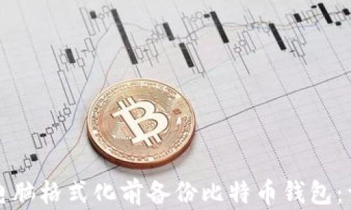 
如何在电脑格式化前备份比特币钱包：详细指南