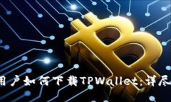 iOS用户如何下载TPWallet：详尽指南