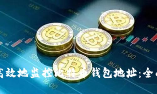 如何高效地监控比特币钱包地址：全面指南