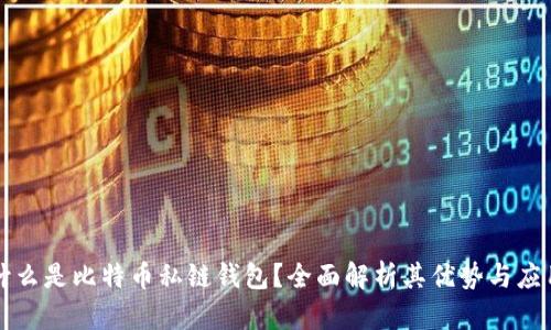 什么是比特币私链钱包？全面解析其优势与应用