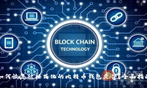 如何恢复被格式化的比特币钱包文件？全面指南