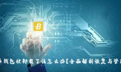 比特币钱包被卸载了该怎么办？全面解析恢复与