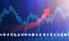 比特币钱包未到账的解决方案与常见问题解析