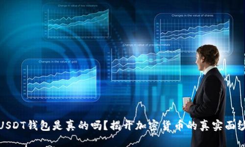 USDT钱包是真的吗？揭开加密货币的真实面纱