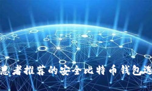 何有病患者推荐的安全比特币钱包选购指南