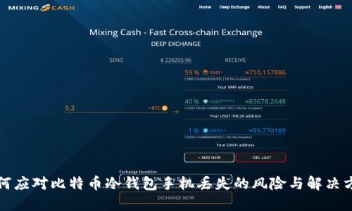 如何应对比特币冷钱包手机丢失的风险与解决方案