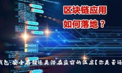 比特币钱包：安全存储还是潜在盗窃的温床？你