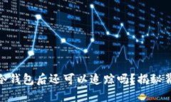 USDT转到冷钱包后还可以追踪吗？揭秘背后的秘密
