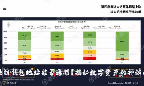 区块链钱包地址能否通用？揭秘数字资产的神秘面纱