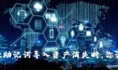 当tpwallet助记词导入资产消失时，你该如何应对？
