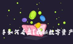 TPWallet新手如何看盘？揭秘数字资产市场的奥秘