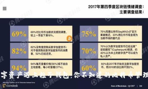 当数字资产遇上粒子钱包:你不知道的比特币管理秘诀