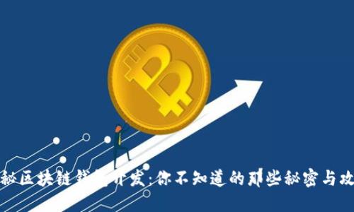 揭秘区块链钱包开发:你不知道的那些秘密与攻略