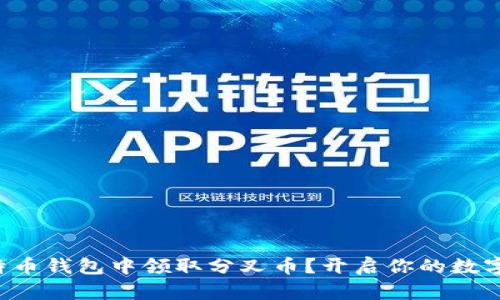 如何在比特币钱包中领取分叉币?开启你的数字财富之旅!