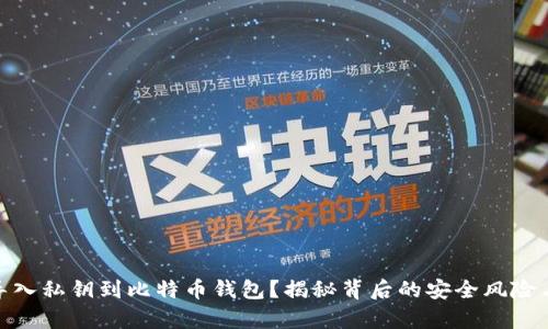 如何有效导入私钥到比特币钱包？揭秘背后的安全风险与操作步骤