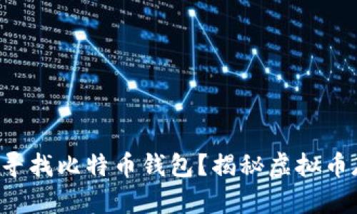 你是否也在寻找比特币钱包？揭秘虚拟币存储的秘密！