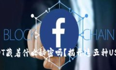 你知道你的USDT藏着什么秘密吗？揭开这五种USD