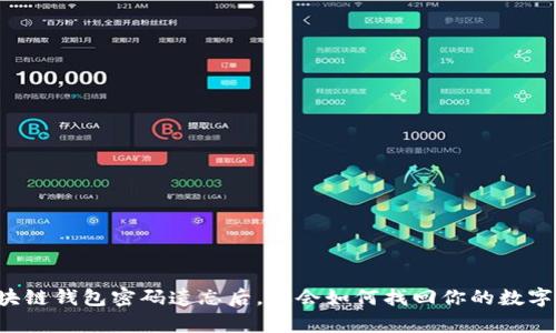 当区块链钱包密码遗忘后,你会如何找回你的数字财富?
