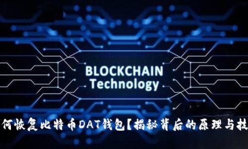 如何恢复比特币DAT钱包?揭秘背后的原理与技巧