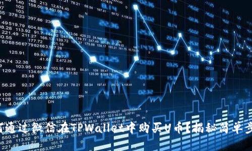 如何通过微信在TPWallet中购买U币？揭秘简单步骤！