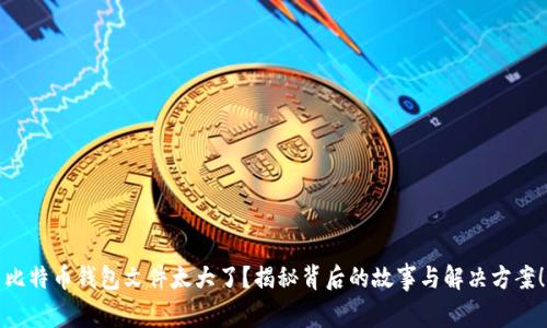 比特币钱包文件太大了?揭秘背后的故事与解决方案!
