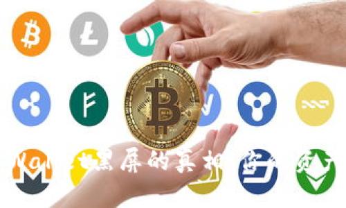 揭秘TP Wallet黑屏的真相:你的资产安全吗?