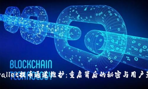 tpwallet提币通道维护：重启背后的秘密与用户影响