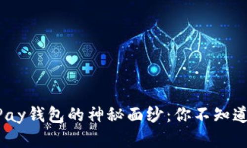揭开虚拟币OKPay钱包的神秘面纱:你不知道的功能与风险!