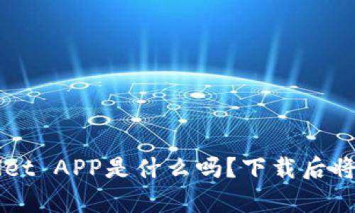 你知道TP Wallet APP是什么吗?下载后将看到哪些惊喜?