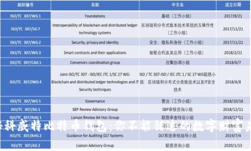 揭秘科威特比特币钱包:你不能错过的数字财富未来!
