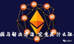 TPWallet转账超时的原因与解决方法，究竟是什么阻