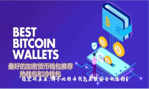 “稳定的未来:哪个比特币钱包是最安全的选择?”