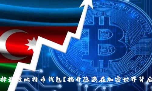 如何选择最佳比特币钱包?揭开隐藏在加密世界背后的秘密