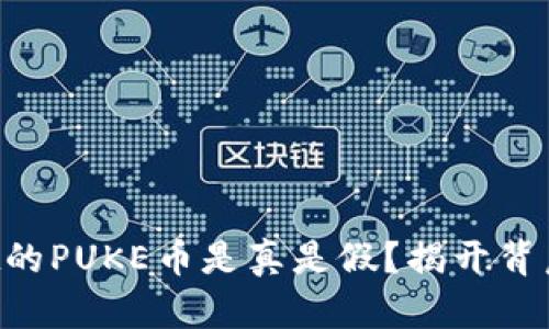 TPWallet的PUKE币是真是假?揭开背后的真相!