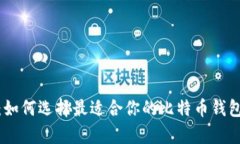 解锁未来：如何选择最适合你的比特币钱包手机