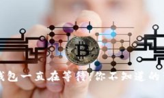 比特币钱包一直在等待：你不知道的背后故事