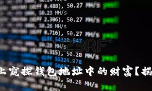 如何在区块链上窥探钱包地址中的财富?揭秘与探索之旅!