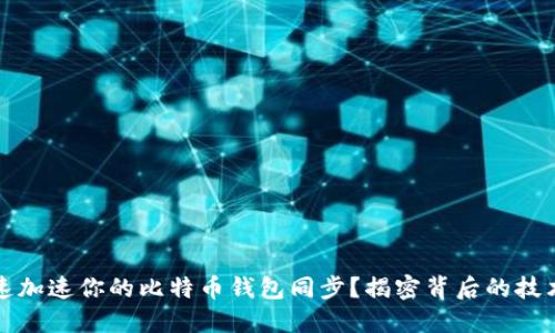 如何快速加速你的比特币钱包同步?揭密背后的技术与技巧