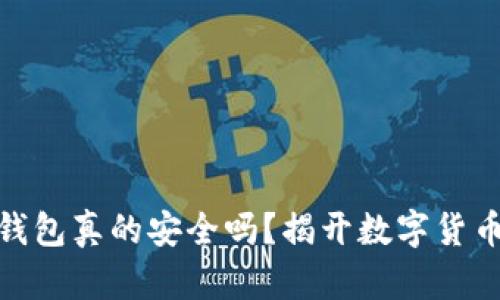 USDT存放在钱包真的安全吗？揭开数字货币安全的面纱！