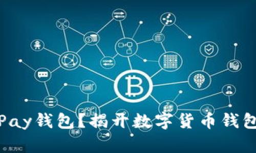 如何下载BitPay钱包？揭开数字货币钱包的神秘面纱！