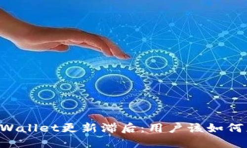 当TPWallet更新滞后：用户该如何应对？