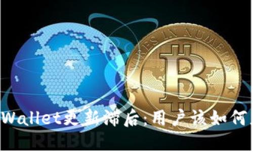 当TPWallet更新滞后：用户该如何应对？