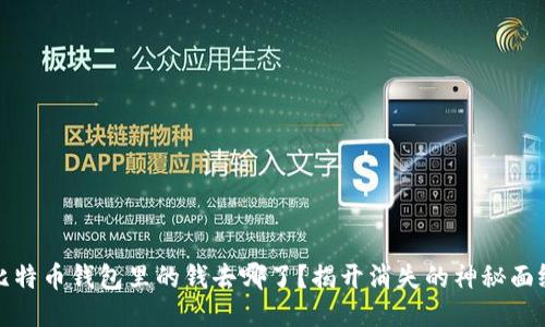 比特币钱包里的钱去哪了？揭开消失的神秘面纱