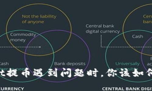 当TPWallet提币遇到问题时，你该如何快速解决？