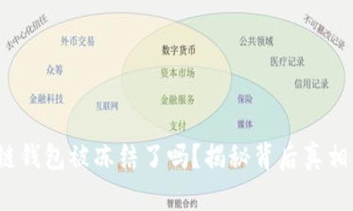 : 你的区块链钱包被冻结了吗？揭秘背后真相与应对策略！