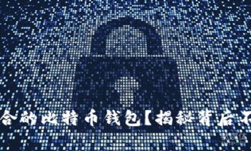 如何选择最适合的比特币钱包？揭秘背后不为人知的真相