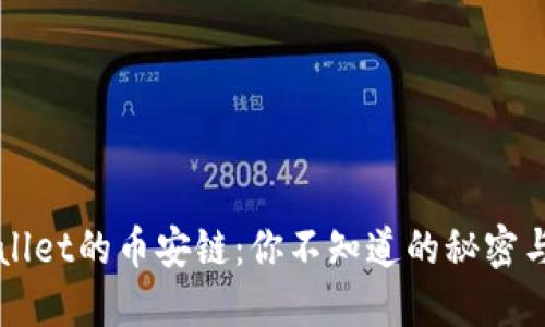 探索TPWallet的币安链：你不知道的秘密与无限可能