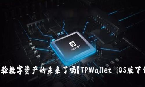你准备好体验数字资产的未来了吗？TPWallet iOS版下载即将上线！
