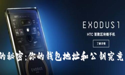 解锁比特币的秘密：你的钱包地址和公钥究竟意味着什么？